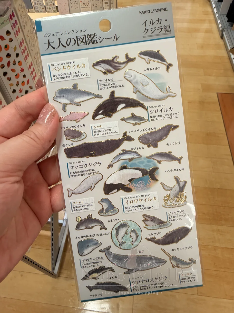 大人の圖鑑海洋生物系貼紙