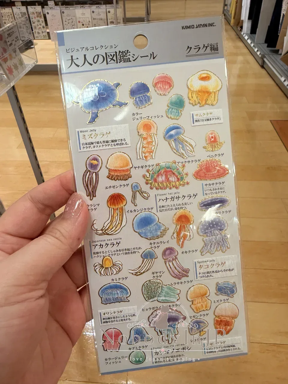 大人の圖鑑海洋生物系貼紙