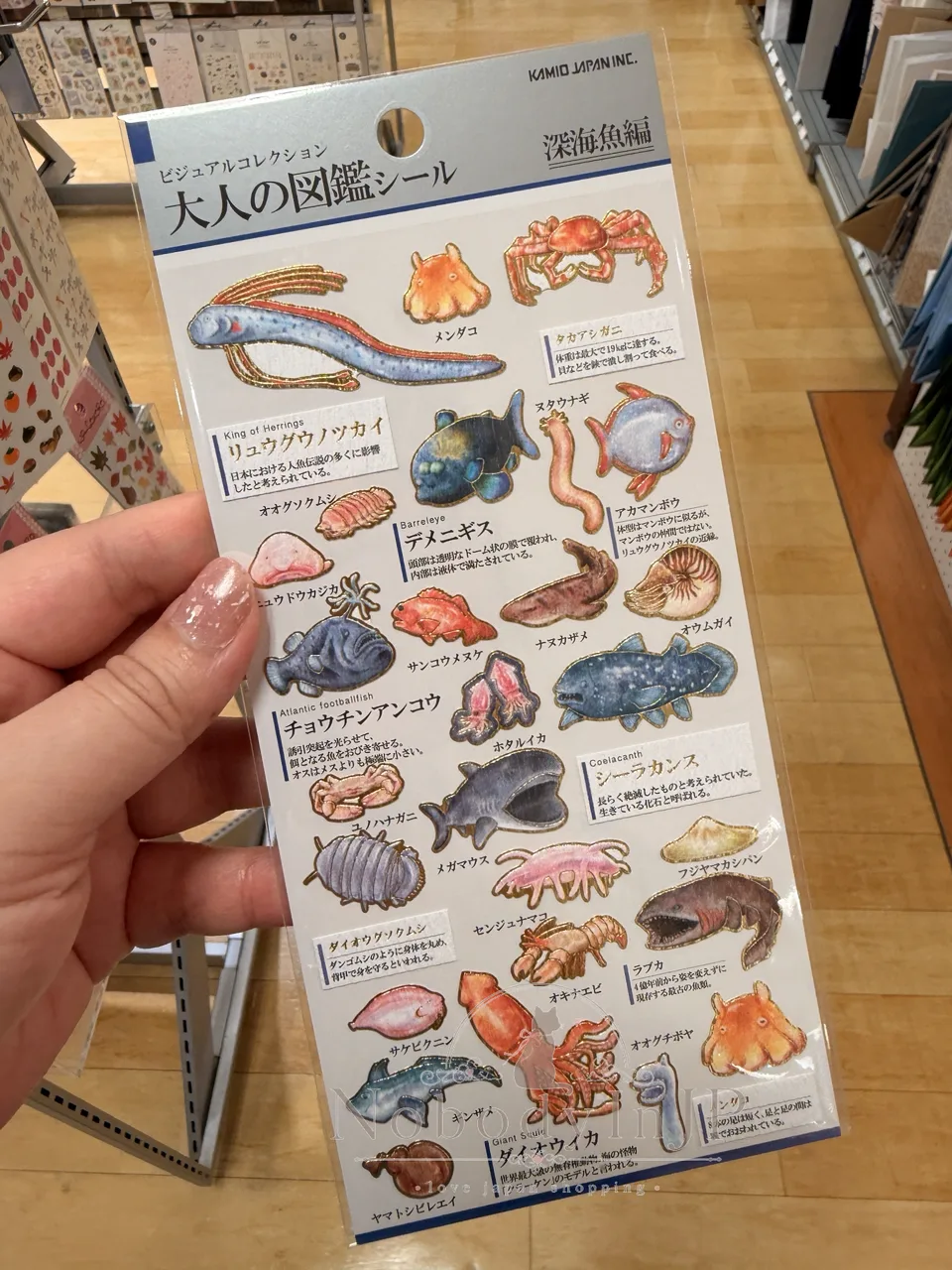 大人の圖鑑海洋生物系貼紙